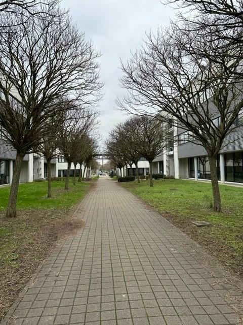 Bureau Metz 191m² Location bureau Metz Moselle OLBUR2310179 13